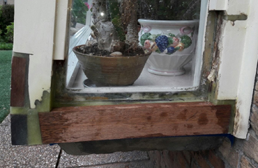 Houtrotinspectie