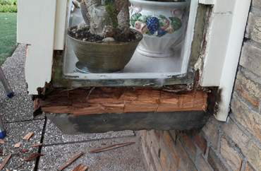 Houtrotinspectie en reparatie